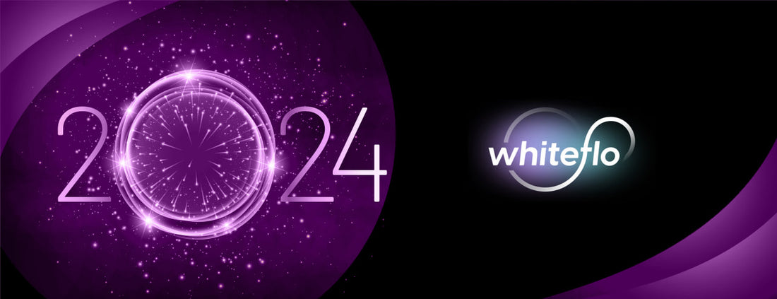 Embracing 2024: a Year of Breakthroughs and achievements at Whiteflo